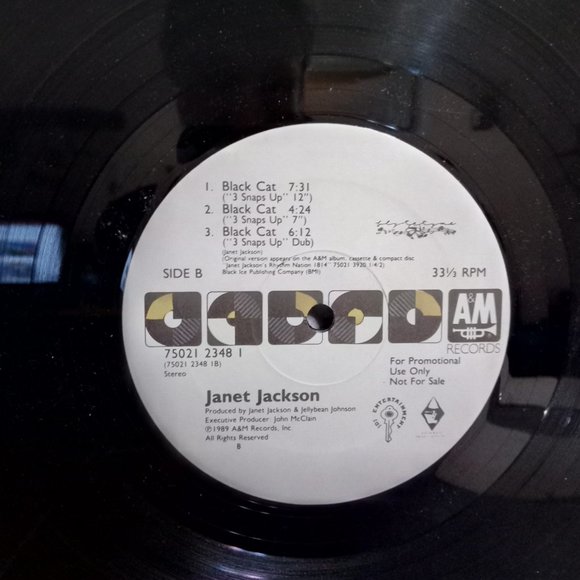 Janet Jackson Black Cat Promotional Single Vinyl Record - Picture 3 of 3